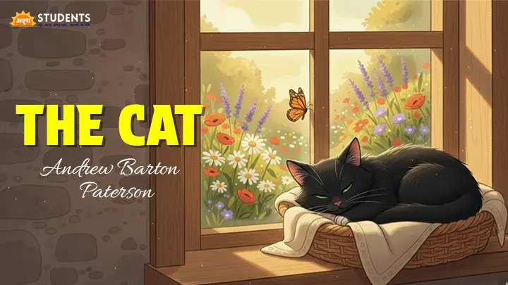 the cat bengali meaning